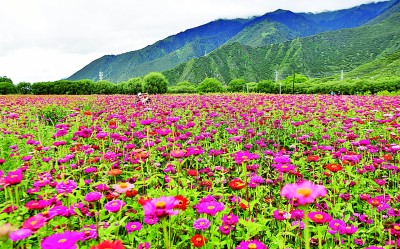 綻放在“生命禁區”的格桑花——老西藏精神（孔繁森精神）述評