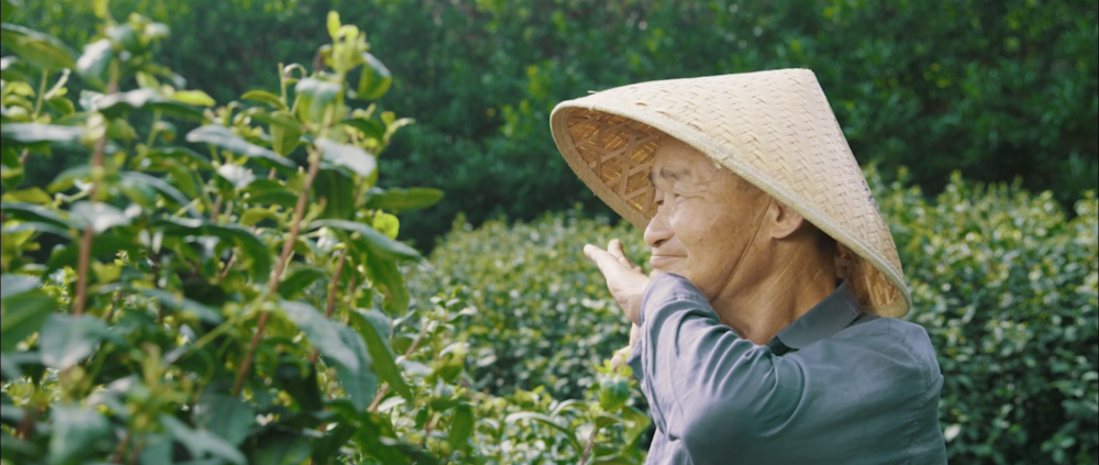 微視頻｜深情寄“三農”