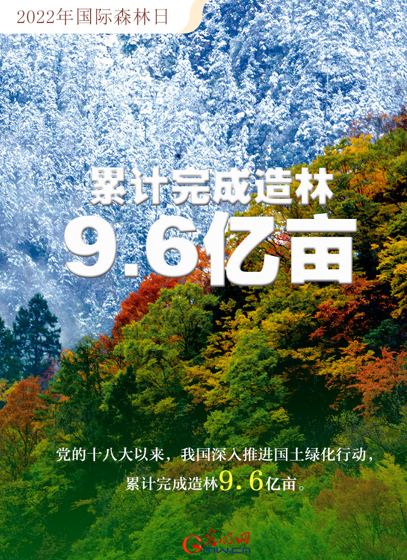 【海報】2022國際森林日：數讀全球增綠的中國貢獻