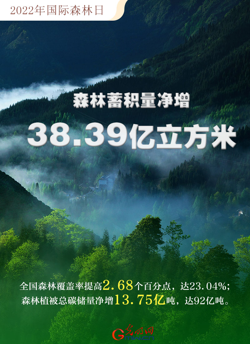 【海報】2022國際森林日：數讀全球增綠的中國貢獻