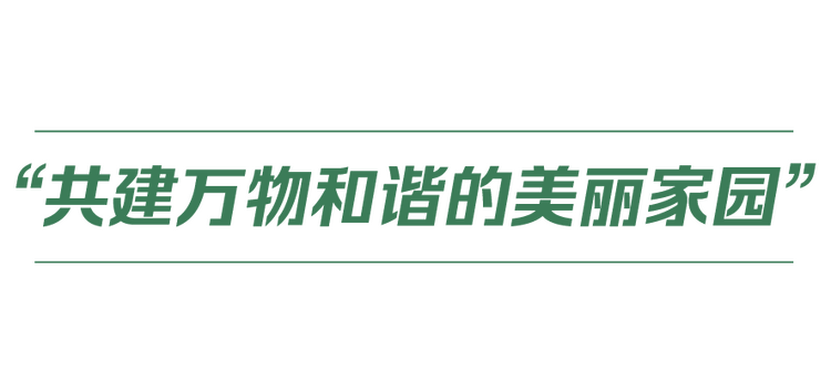 中國式現代化丨人與自然和諧共生