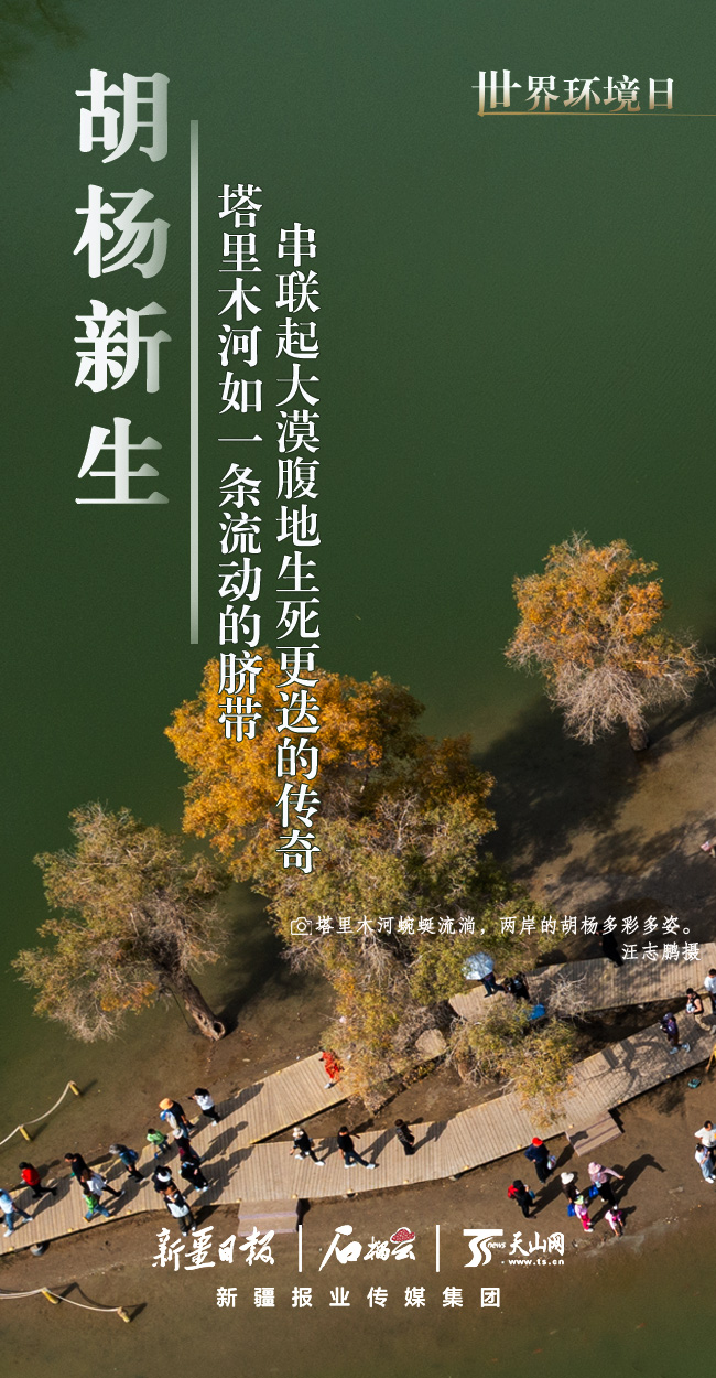 世界環境日丨看新疆的“綠色”答卷