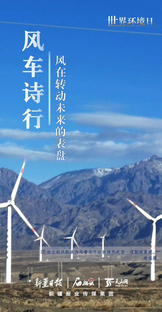 世界環境日丨看新疆的“綠色”答卷