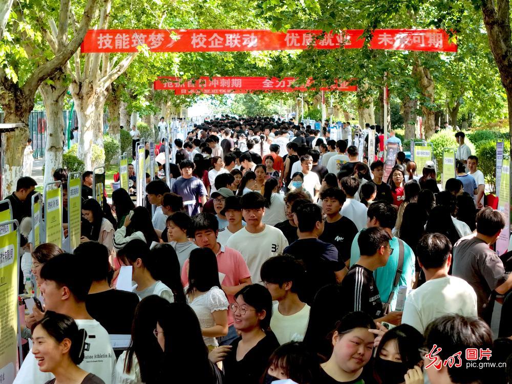 【職引未來】為青春護航 各地促就業再加力