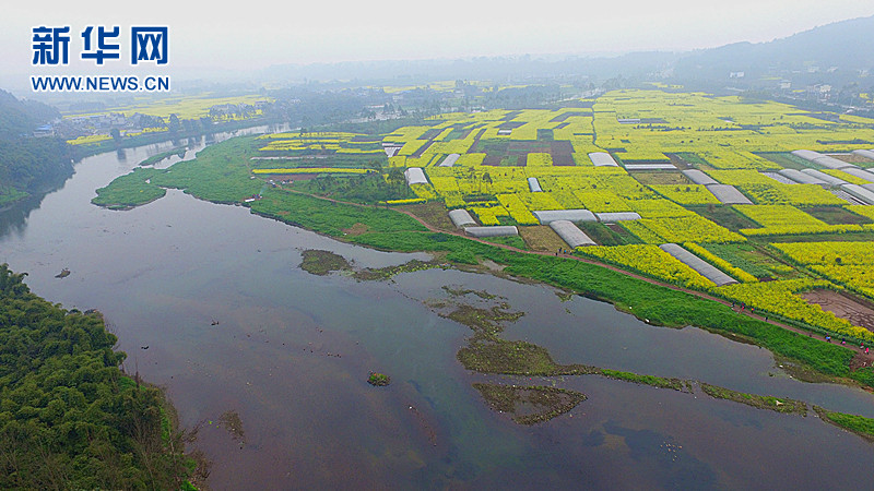 (網路媒體走轉改)樂山峨眉河 春來踏青好去處