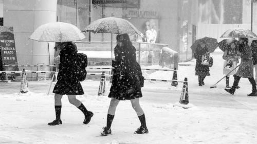 女生冬天穿短裙露大腿 日本“抗凍民族”如何煉成