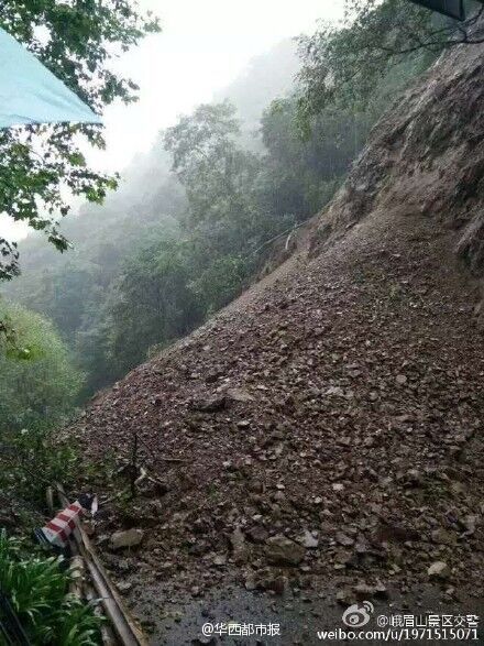 峨眉山景區樹斷傷人