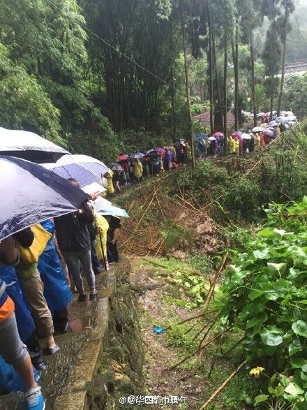 峨眉山景區樹斷傷人