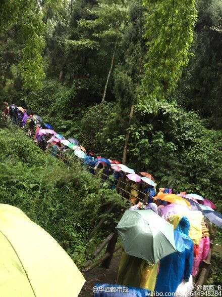 峨眉山景區樹斷傷人