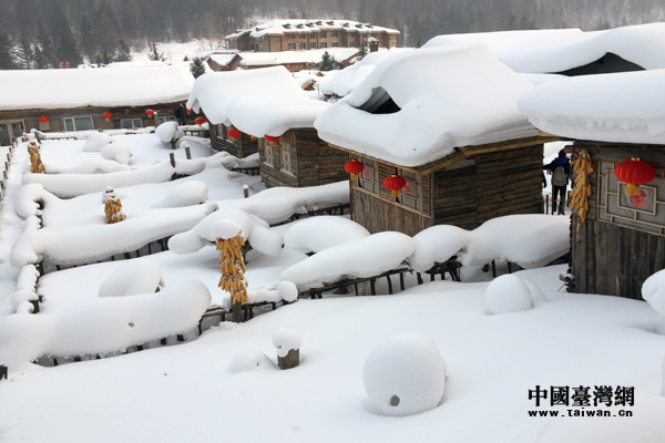 臺灣學生哈爾濱“冰雪之旅”初體驗：雪美、天冷、心暖