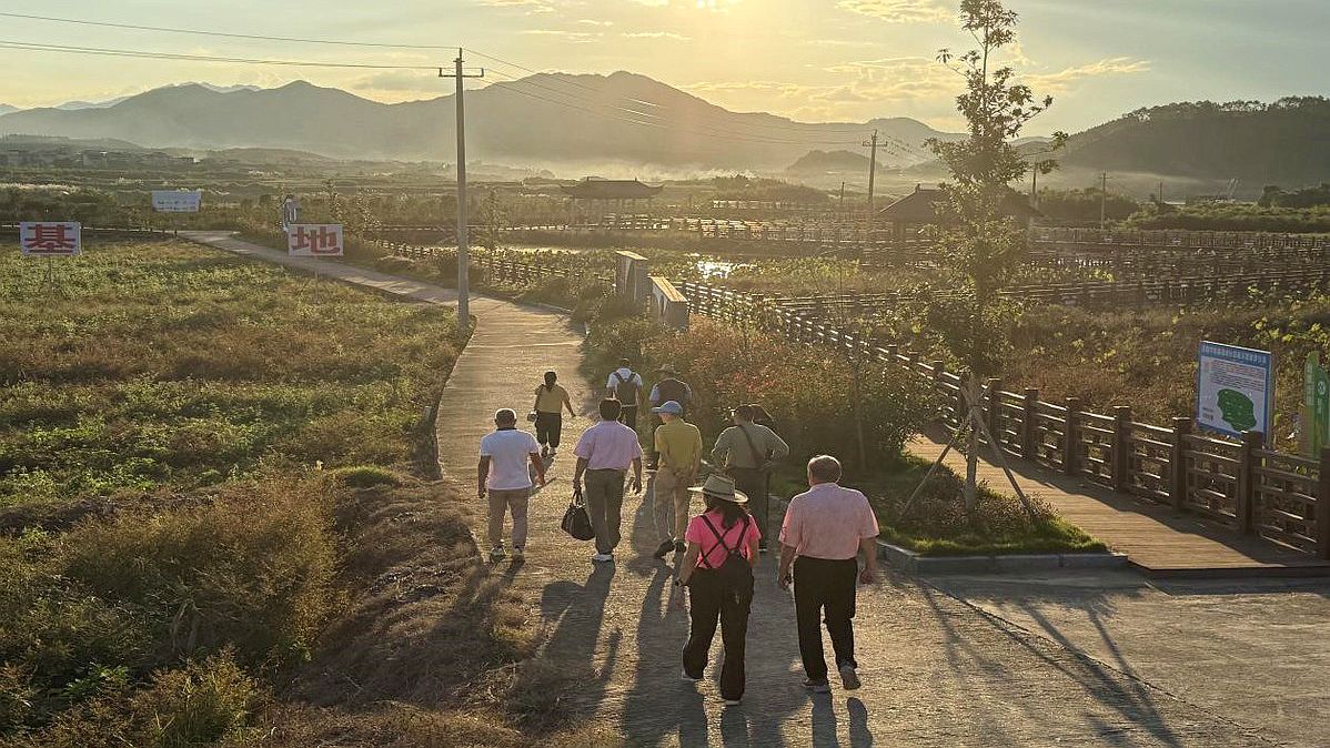 兩岸業者武夷山共敘茶緣