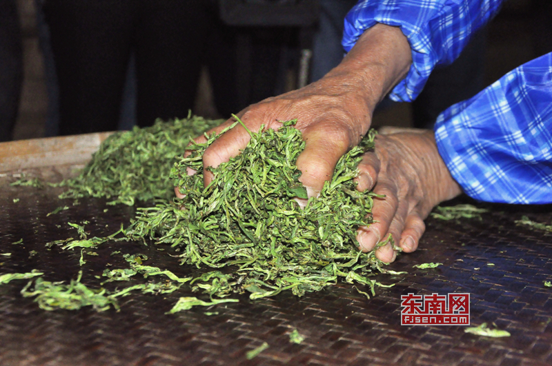 全國網路媒體走進蕉城“天山茶舍” 體驗傳統制茶工藝