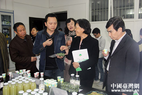 王亞男副院長（右二）品嘗農産新品種“小西瓜”