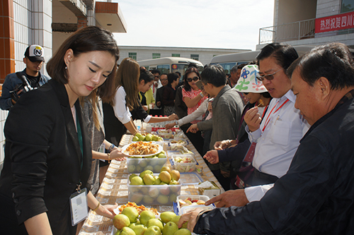 500X333-DSC03537.jpg