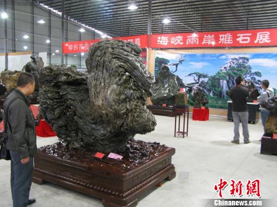 廣西柳州奇石文化博覽會加速兩岸民間賞石交流