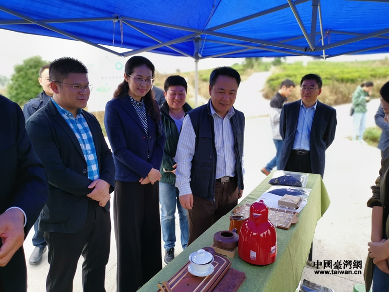 調研茶業試驗基地.jpg
