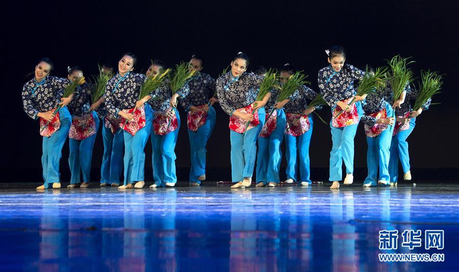 臺灣敦青舞蹈團演員在表演《稻花香裏説豐年》。