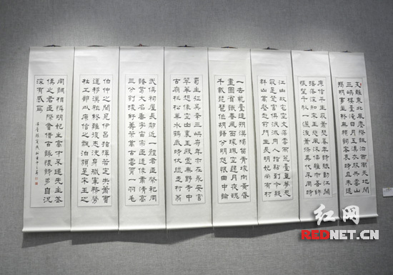 臺灣湘籍書法家張定成書法作品在長沙展出