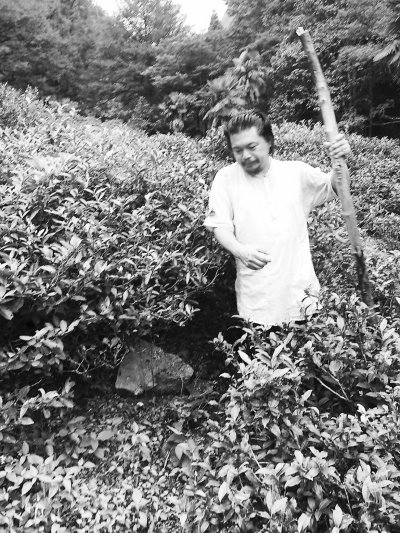 自然農法替代施肥一個臺灣茶人的茶山保育計劃
