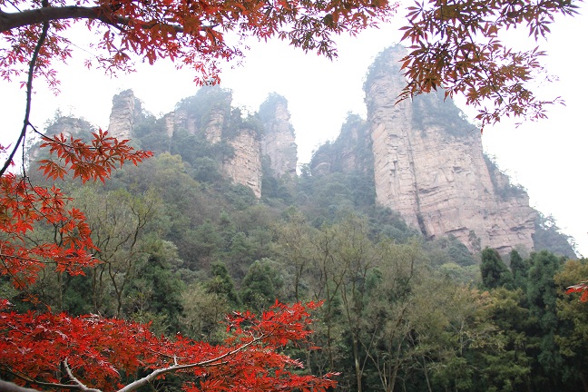 臺航直飛張家界賞美景  秋冬旅遊産品受歡迎