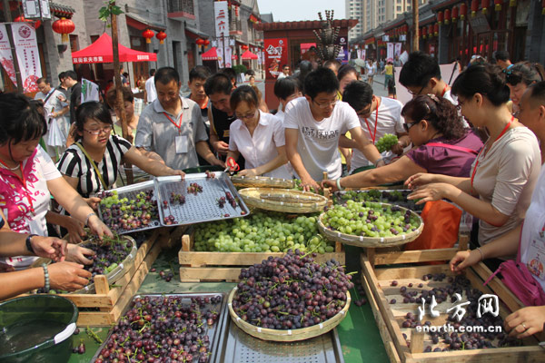 首屆雙街葡萄文化節開幕 棚栽總産將達百萬公斤