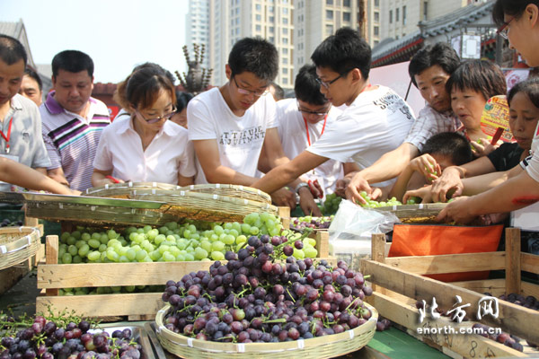 首屆雙街葡萄文化節開幕 棚栽總産將達百萬公斤