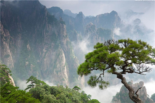 臺灣攝影師：黃山是國內攝影上鏡最好景區