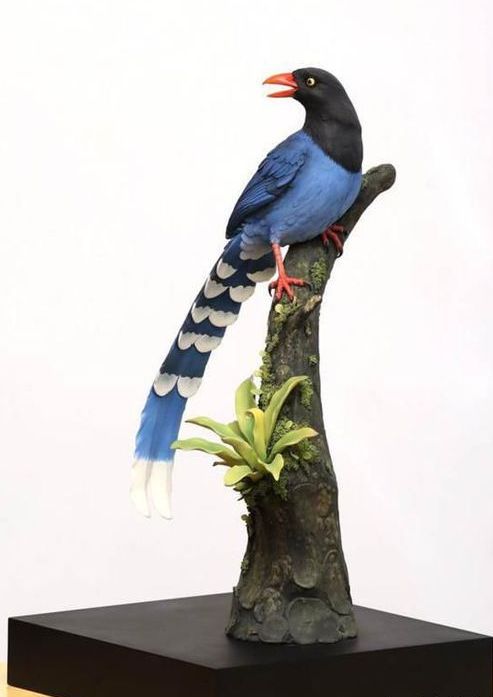 據臺灣媒體報道，馬英九辦公室方面表示，臺灣藍鵲是臺灣特有品種，俗稱“長尾山娘”，在低海拔山地，時常可見臺灣藍鵲的美麗身影，故選擇挑選了一件“臺灣藍鵲”的手工瓷器贈予大陸領導人。