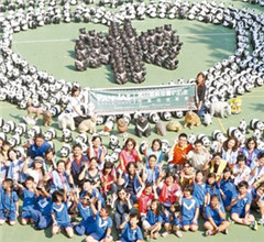 數百紙熊貓和臺灣黑熊現身最美小學 小夥伴樂壞了