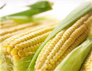 臺灣甜玉米幾乎不用農藥 “甜玉米有毒”報道有誤