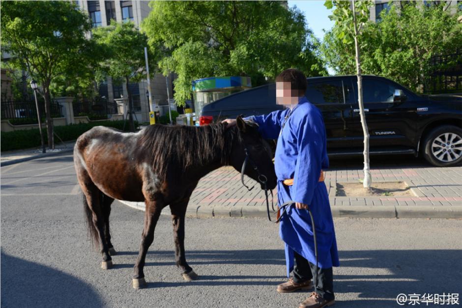 北京男子深夜醉酒後騎馬20公里回家