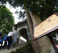 湖南郴州為古樹名木建“電子身份證”（