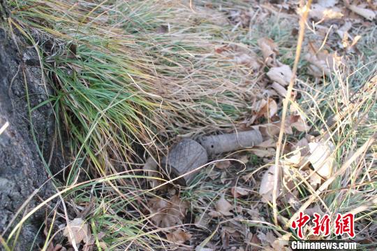黑龙江边防民警在中俄边境发现一颗日伪时期手