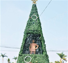 “讓蔣介石透氣”遭批 臺南另類聖誕樹引關注