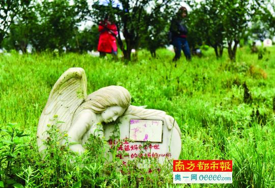 人狗情未了:漢白玉天使形寵物公墓叫價1.2萬