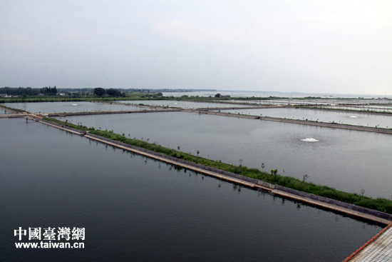 湖南和平水産有限公司位於大通湖內的大閘蟹養殖區。