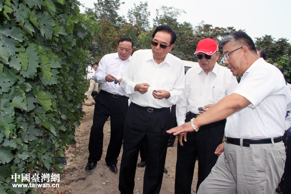 江丙坤與陳雲林聽取葡萄酒産業發展情況的介紹。