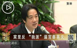 窩里反“獨派”逼宮蔡英文