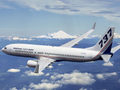 美國：波音737降落髮生故障 10多人傷