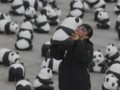 中國大熊貓熱潮席捲柏林