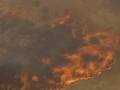 澳大利亞：叢林大火快速逼近居民區