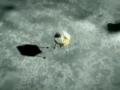 嫦娥三號所攜載荷“首戰告捷”
