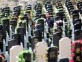 上海公墓限售市民半夜排隊買墓地