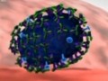 22名學者欲造“升級版”H7N9病毒
