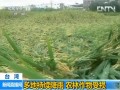 臺灣：多地持續降雨 農林作物受損
