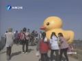 黃色小鴨轉戰桃園 三天累計75萬人次參觀