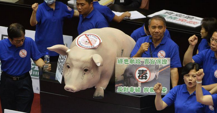 豬農扛豬進“立法院”抗議 道具豬逼真或全臺巡演