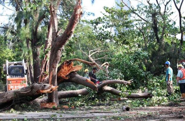強臺莫蘭蒂襲臺重創高雄，颱風過境後高雄逾1萬多棵路樹倒塌受損。（圖片來源：臺灣《中時電子報》）