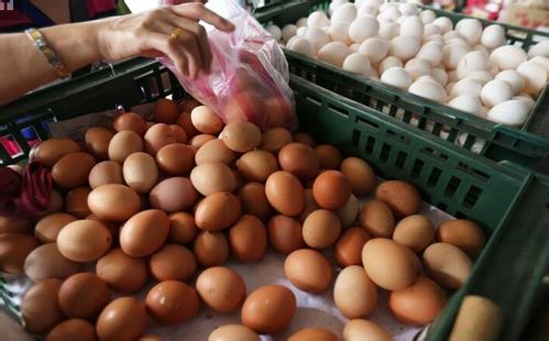 臺媒：蔡英文當局連顆蛋都管不好還説什麼食安第一？
