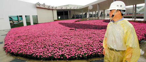 臺北市長郝龍斌一大早就穿著雨衣到花博會場地視察，600萬株花朵多完好如初，讓郝龍斌松了口氣。 圖片來源：臺灣《聯合報》